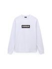 S-box Logo LS