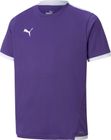 Teamliga Jersey Jr