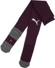 teamLIGA26 Socks Core