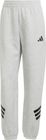 Future Icons Three Stripes Regular Pant Women