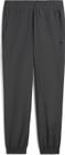 Pumatech Woven Pants cl