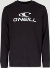 Logo Crew Sweatshirt