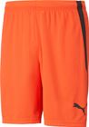 Teamliga Shorts