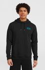 O'neill Graphic Hoodie