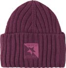 Prtwizzard Beanie
