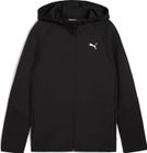 Evostripe Full-zip Hoodie DK B