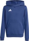 Entrada26 Hoodie Kids