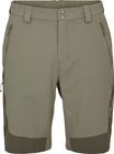Torque Mountain Shorts
