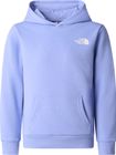 Teen Simple Dome Light REG Hoodie