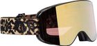 Aero Ski Goggle