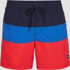 Frame Block Swim Shorts