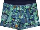 Swim Trunks AOP 720391
