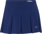 Seasonal Essentials Colorpop Skirt With Inner Leggings