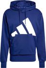 Essentials BIG Logo French Terry Hoodie