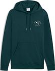 Puma Class Graphic Hoodie FL