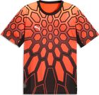 Fcsp Third Jersey Replica LS