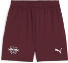 RBL Shorts Replica Jr
