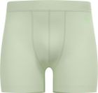 The Natural Merino 160 Sports Underwear Boxers