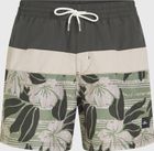 O'neill Cali Block 15'' Swimshorts