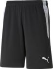Teamliga Referee Shorts