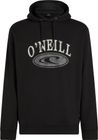 Muir Hoodie