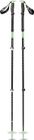 Expedition 3 Ski Poles