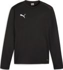 Teamgoal Training Pant