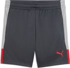 Individualliga Training Shorts Jr