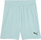 Teamgoal Shorts
