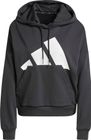Essentials BIG Logo French Terry Loose Hoodie