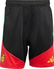 Jamaica 26 Tiro Training Shorts Men