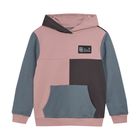 Sweat Hoodie Colorblock 742415