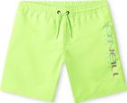 Cali Melting 14'' Swim Shorts