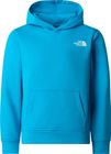 Teen Box NSE Regular Hoodie