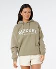 Varsity Hoodie