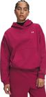 Icon Fleece Hoodie
