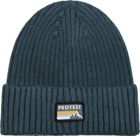 Prtworsley Beanie