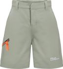 Turbulence Shorts K