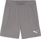 Teamgoal Shorts