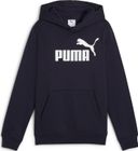 Essentials No 1 Logo Hoodie FL G