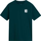Mens Evolution Box Half Dome Regular Short