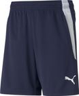 Teamliga Training Shorts Jr