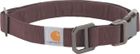 Nylon Duck Dog Collar