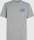 O'neill Beach Graphic T-shirt