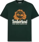 Mens Wwes Short Sleeve Front Graphic Tee