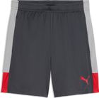 Individualliga Training Shorts