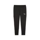 Teamgoal Slim Training Pants