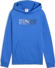 Essentials Logo LAB Hoodie FL B