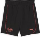 RBL Casuals Shorts