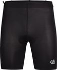 Bold Short
